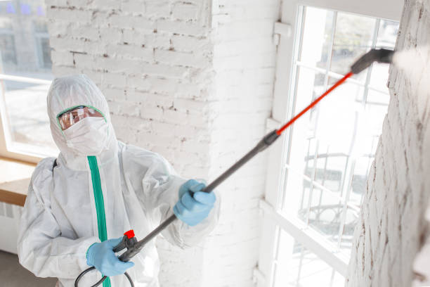Best Forensic Mold Investigation  in Ely, NV