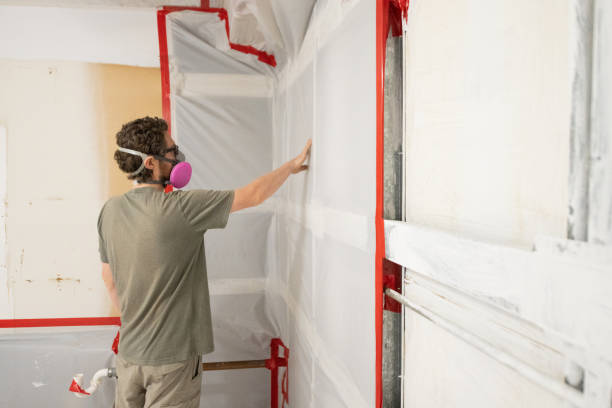 Best Post-Remediation Verification Testing  in Ely, NV