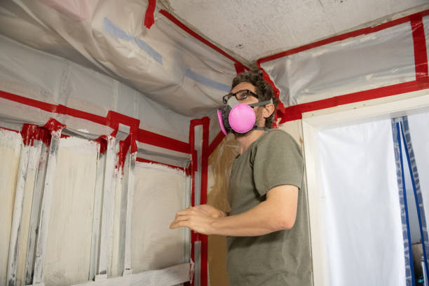 Best Commercial Mold Inspection  in Ely, NV