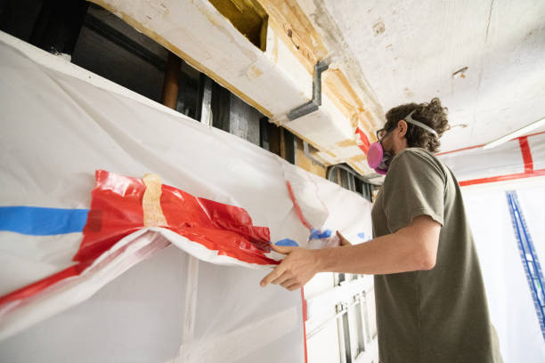 Best Mold Remediation for Healthcare Facilities  in Ely, NV