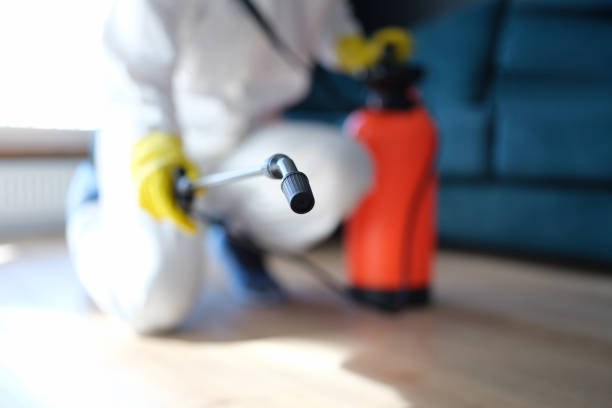 Best Real Estate Mold Inspection  in Ely, NV