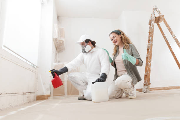 Best Crawl Space Mold Remediation  in Ely, NV