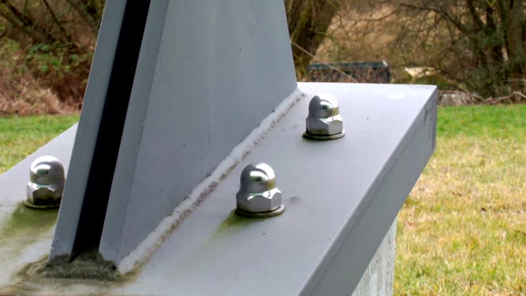 Best Comprehensive Air Testing for Mold Contaminants  in Ely, NV